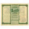 Image 2 : CO. Chicago and North Cripple Creek Mining Co., 1896, I/U Stock Certificate.