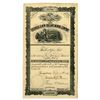 Image 1 : CO. Colorado & New England Mining Co., 1882, I/U Stock Certificate.