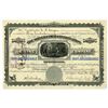 Image 1 : CO. Silver Cord Combination Mining Company of Colorado, 1880 I/U Stock Certificate.