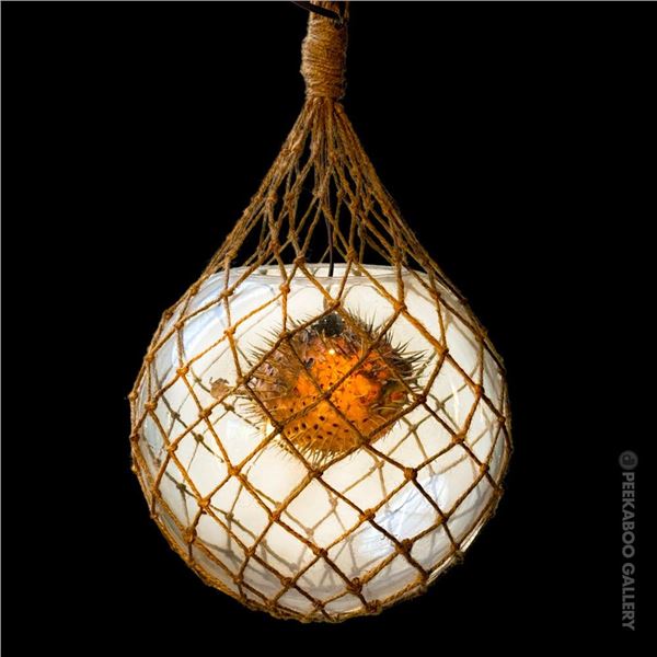 HANGING PLEXI FISHING FLOAT WITH BLOWFISH LAMP.