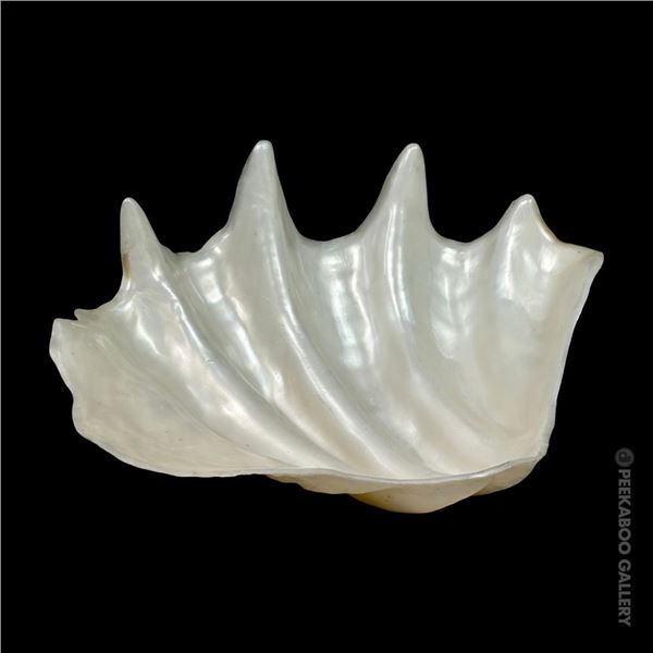 OCEANIC ARTS LARGE LUAU RENTAL CLAM SHELL SERVING BOWL.