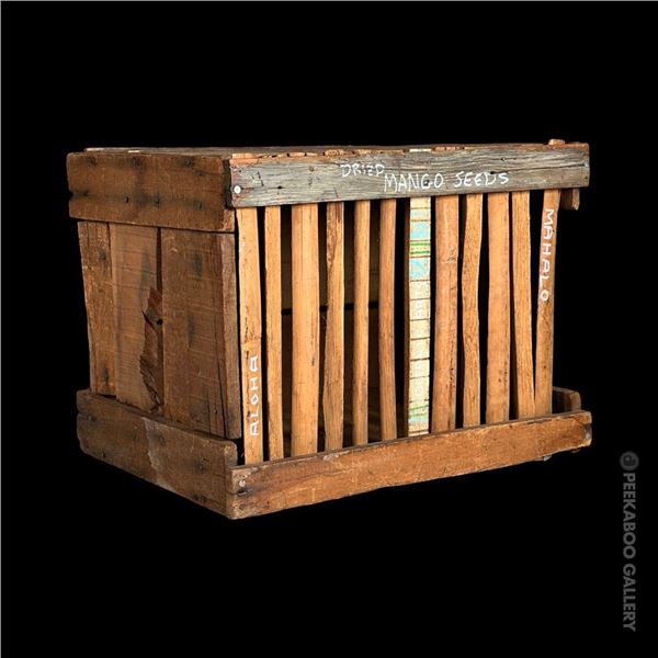 OCEANIC ARTS DRIED "MANGO SEEDS" DOCK CARGO CRATE PROP.