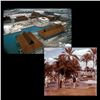 Image 3 : WDW POLYNESIAN VILLAGE RESORT TIKI MAQUETTE - SIDE FACING.