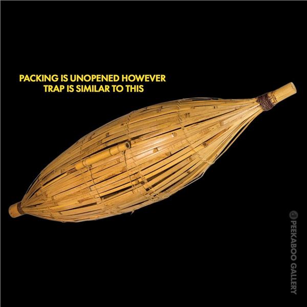 #2341 "TAHITIAN BAMBOO FISH TRAP" 5-FOOT LONG OA LAMP (LARGEST VARIATION).