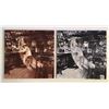 Image 2 : Led Zeppelin In Through The Out Door Remastered album pressing
