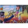 Image 1 : Elton John signed Captain Fantastic insert poster