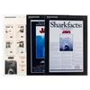 Image 1 : A Trio of "Jaws" Poster Presentation Boards.