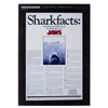 Image 2 : A Trio of "Jaws" Poster Presentation Boards.