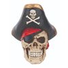 Image 4 : A Pirate Skull Coin Bank.