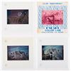 Image 4 : Publicity Slides from "Land of the Lost."
