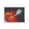 Image 10 : A "Superman: The Movie" Portfolio of Art Prints.