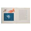 Image 4 : A "Fantasia" The Nutcracker Suite Book.