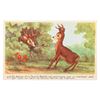 Image 6 : A French "Bambi" Postcard Collection.