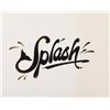 Image 1 : A "Splash"  DVD Title Logo.