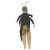Image 9 : A "James and the Giant Peach" Grasshopper Figure.