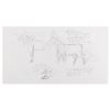 Image 1 : A Pair of "Home on the Range" Concept Drawings.