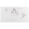 Image 2 : A Pair of "Home on the Range" Concept Drawings.
