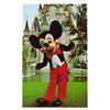 Image 7 : A Large Collection of Disney Parks Postcards.