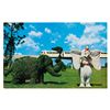 Image 8 : A Large Collection of Disney Parks Postcards.