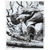 Image 1 : Ryans Daughter Christopher Jones Signed Photo