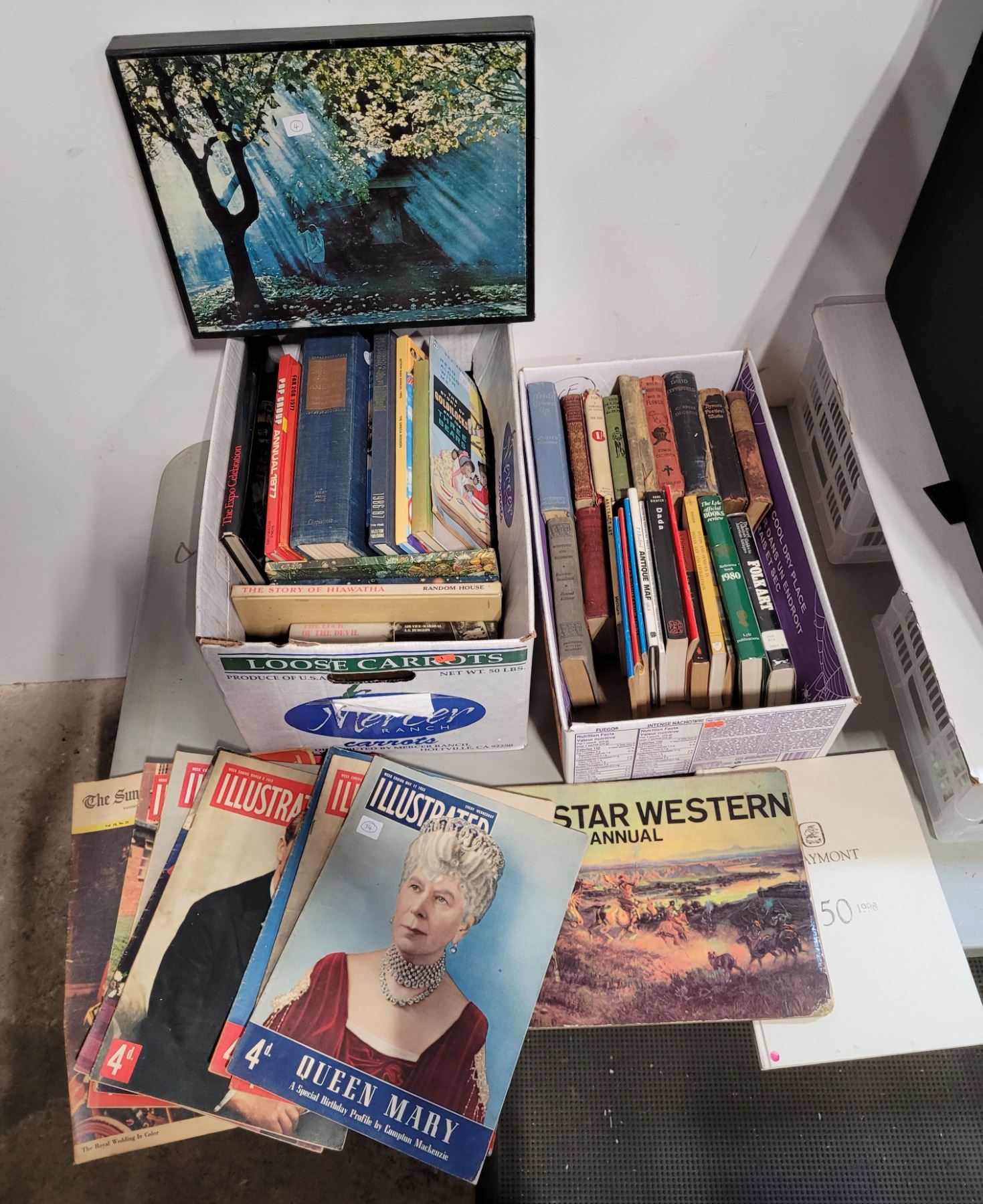 VTG Book and Magazine lot with picture