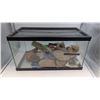 Image 1 : Terrarium & Accessories