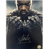Image 1 : Black Panther Stan Lee signed photo. GFA authenticated