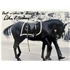 Image 1 : JFK Assassination Arthur Carlson Black Jack Funeral Procession Horse signed photo