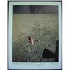 Image 2 : Moonwalkers Neil Armstrong, Buzz Aldrin, Michael Collins signed NASA photograph