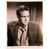 Image 1 : On The Waterfront Marlon Brando signed portrait photo