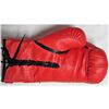 Image 1 : Israel Vazquez Signed Red Everlast Boxing Glove