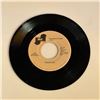 Image 1 : Pastel Six Cinnamon Cinder 45 Album