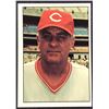 Image 1 : 1975 SSPC BASEBALL TED KLUSZEWSKI