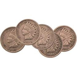 Indian Head Pennies (5 Different Dates)