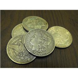 Lot 5 Random Date Morgans