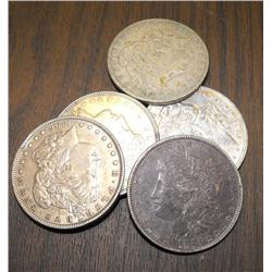 Lot of 5 Morgans- 90% Silver