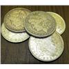 Lot of 5 Morgans- 90% Silver