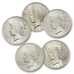 PEACE Dollar Celebration Lot- 5 Coins BU