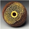 Image 2 : J Paul Fennell | Growth Rings Grandeur, 2026