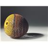 Image 3 : J Paul Fennell | Growth Rings Grandeur, 2026