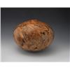 Image 3 : Mike Jackofsky | Maple Burl Hollow vessel, 2024