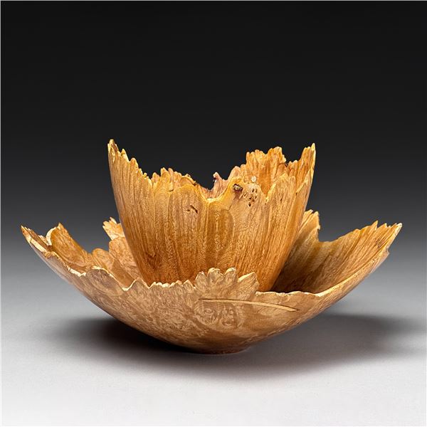Diana Friend | Water Lily II, 2024