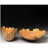 Image 2 : Diana Friend | Water Lily II, 2024