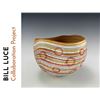 Image 1 : Bill Luce Collaboration Project