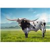 Image 1 : KDK HERCULES SEMEN LOT