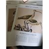 Image 6 : Vintage Paper Goods Including Magazines, Posters, and Bird Guides
