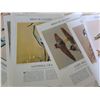 Image 7 : Vintage Paper Goods Including Magazines, Posters, and Bird Guides