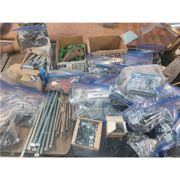 Hardware Lot Including Bolts, Concrete Nails, and More