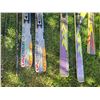 Image 2 : Alpine Skis with Bindings, Poles, and Ski Bag