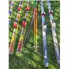 Image 3 : Alpine Skis with Bindings, Poles, and Ski Bag